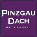 10080_Pinzgau Dach-neu_1653903843.jpg